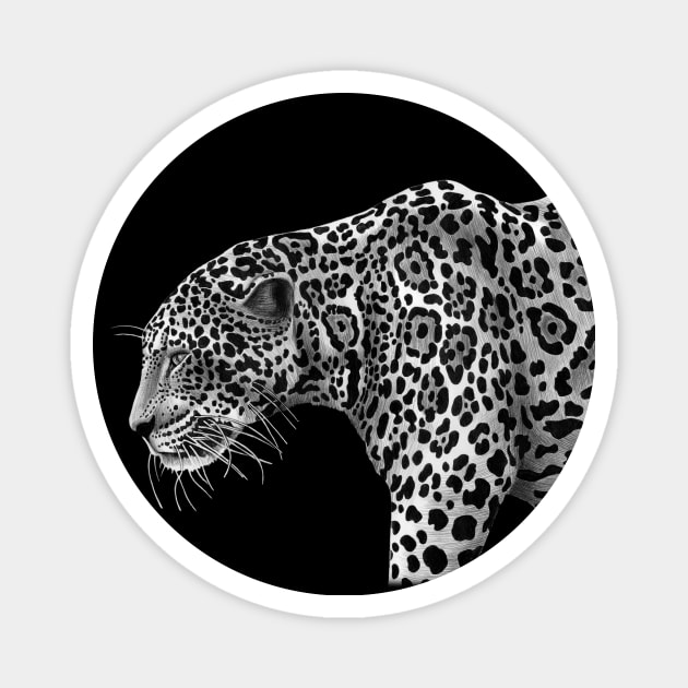 Jaguar Magnet by Tim Jeffs Art